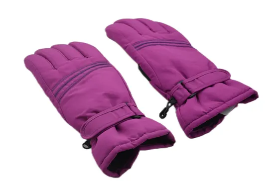 High Quality Imported Soft Genuine Leather Gloves for Women (JYG